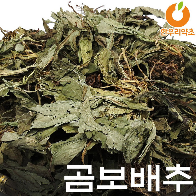 곰보배추차 900g 국산 효능 먹는법, 1개