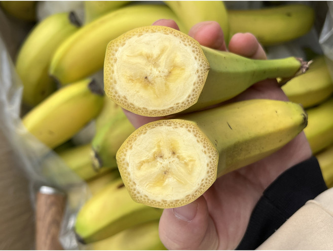 고당도 대용량 실속형 바나나 쥬스용 업소용, 1개, 3kg