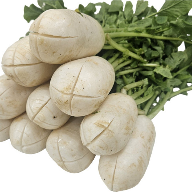 오로시 십자칼집 알타리 절임 완벽한 알타리절임 끝판왕, 1개, 5kg