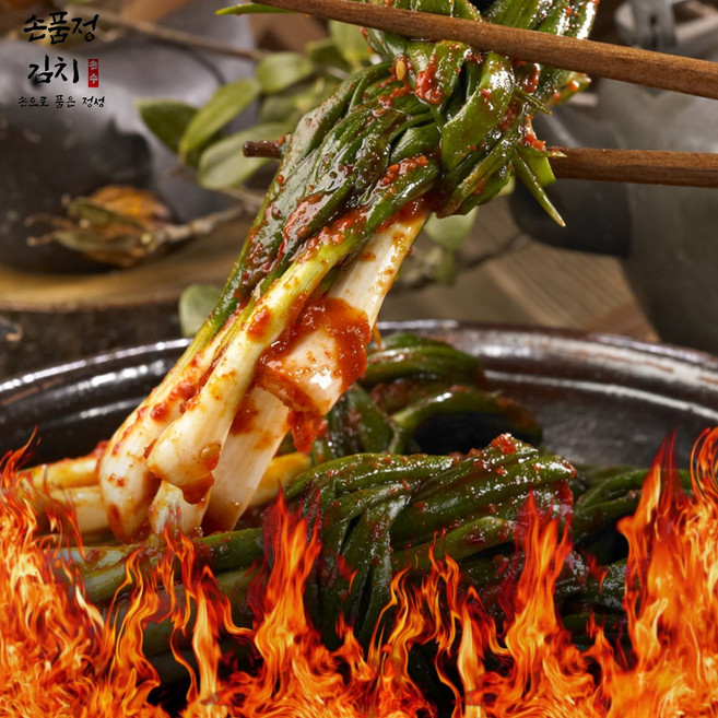 손품정 전라도 매운 파김치 실비 쪽파김치, 1박스, 5kg