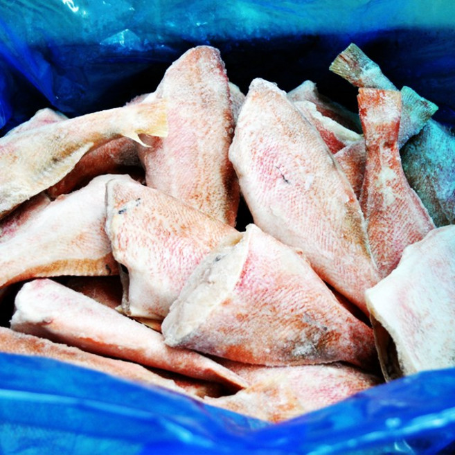 푸드마을 냉동 생선 손질 적어 8미 볼락 빨간고기, 1개