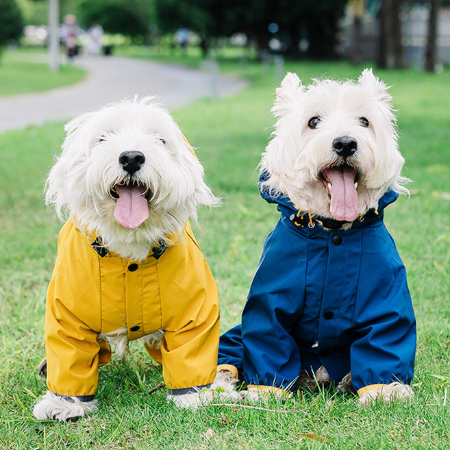 아띠꼴로 강아지 올인원 우비 애견 판초우비 반려견 레인코트 방수옷, 딥퍼블루, 1개
