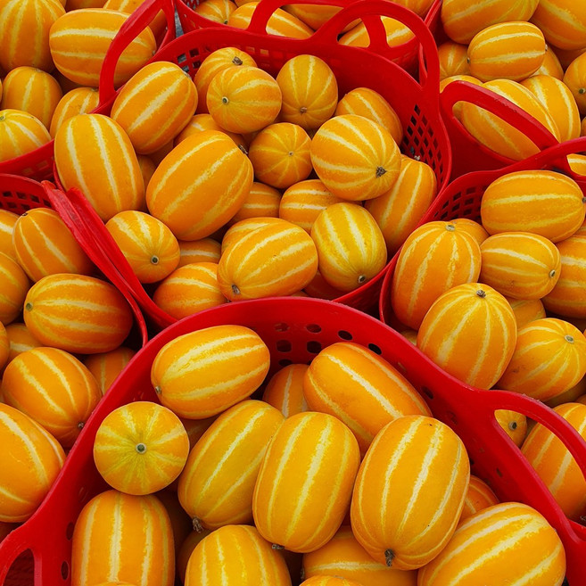 [당일수확] 성주 꿀참외 가정용 못난이 고당도 초특가 산지직송 달콤한, 1박스, 알뜰참외 (랜덤과) 3kg