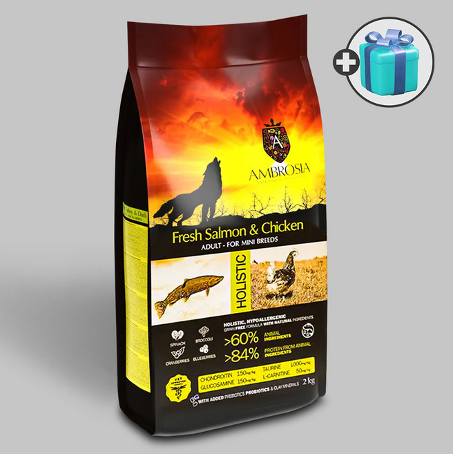 암브로시아 강아지 사료 + 우리집상전 사은품, 6kg, 1개, 닭+연어
