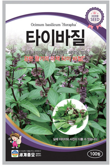 모칸도 세계종묘 허브씨앗 타이바질 100립, 1개