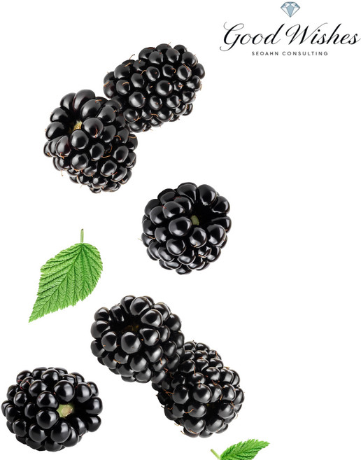 [재구매율1위] 고당도 꿀과즙 토종 햇오디, 1박스, 5kg(실속형 토종)