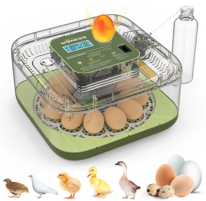 원에그 12구 자동 계란 인큐베이터 병아리 메추리 알 부화기, 1개, 그린