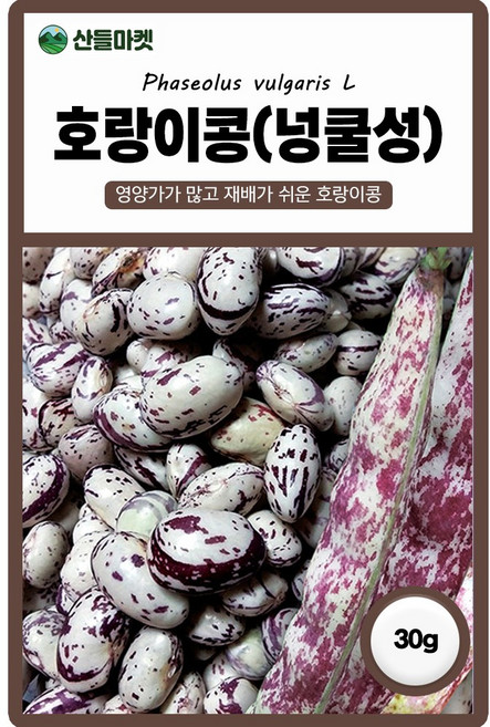 다농 호랑이콩 씨앗 30g 넝쿨성 강낭콩씨 종자, 4개