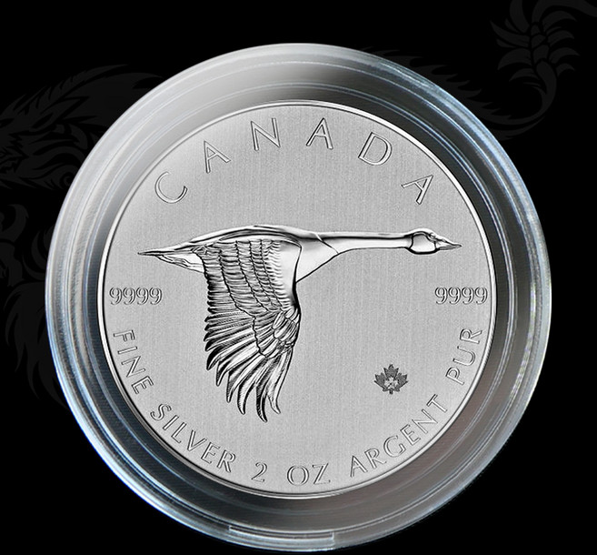 캐나다 2oz 전용 프리미엄 아크릴 캡슐, 투명