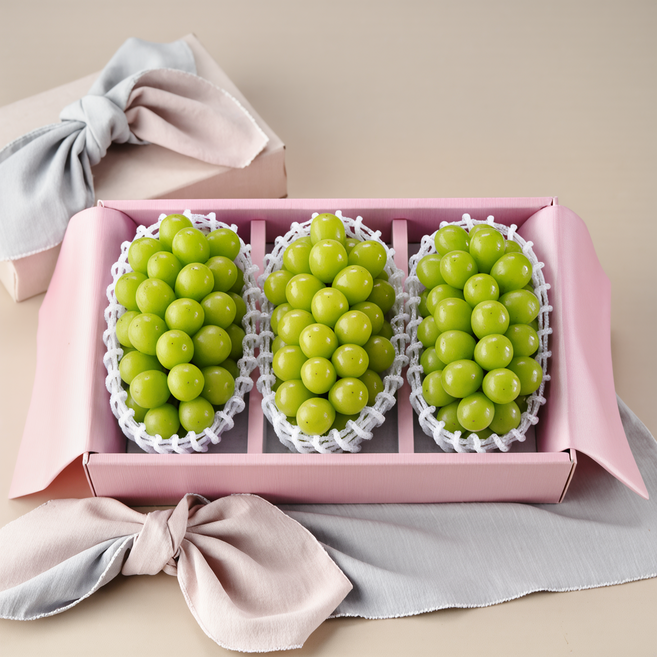 샤인머스캣 당도선별 특품 선물세트 2kg 4kg 산지직송, 1박스, 샤인머스캣 2kg(2-3수) 선물포장