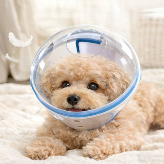 강아지 고양이 반려동물 투명 보호헬멧 넥카라 대체 물림방지 넓은시야 식사가능 우주헬멧, 1개, 푸른 색