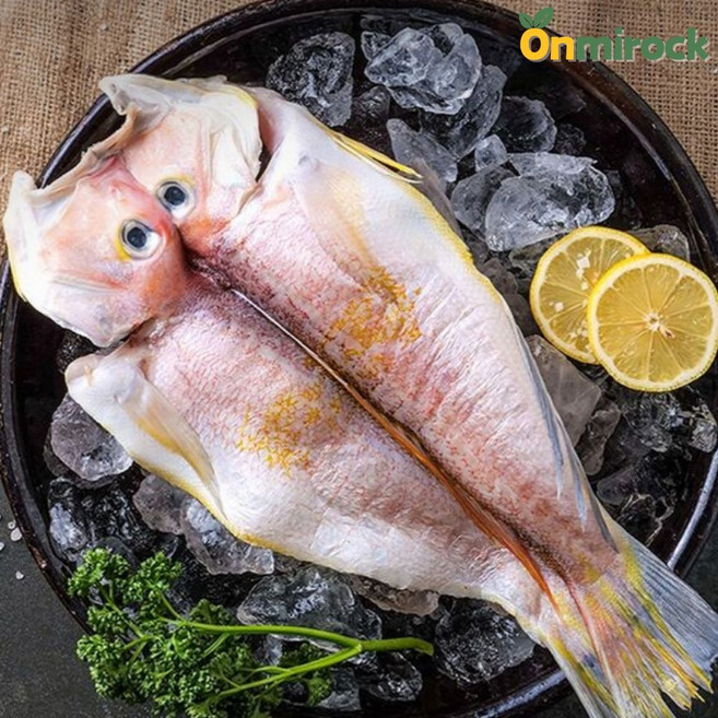 온미락 명품 제주 옥돔 대 30cm이상 1.5kg 반건조 참옥돔 개별 진공포장, 제주 옥돔 1.5kg(대/30cm이상), 1세트