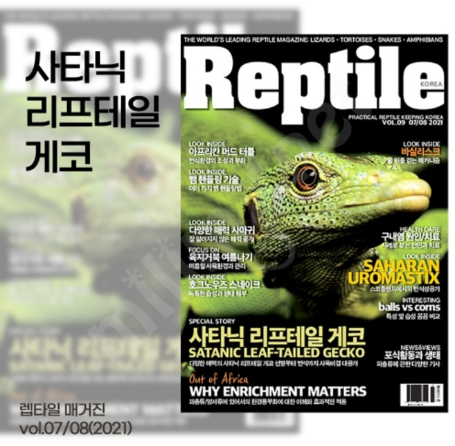 렙타일 매거진 9호