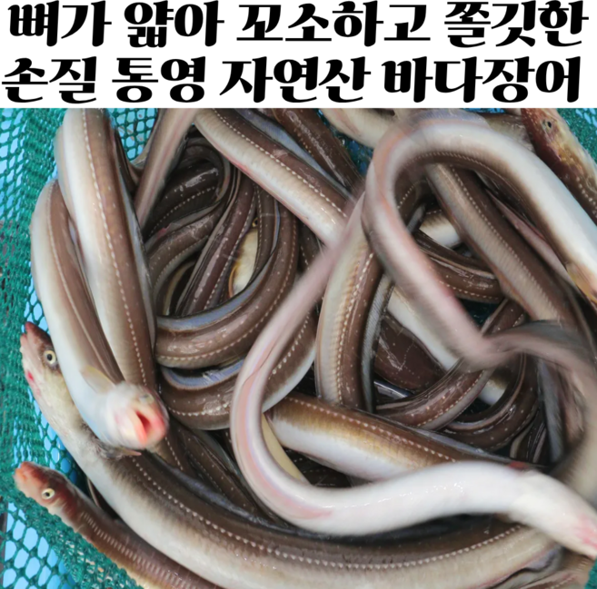통영 자연산 손질 바다장어 장어구이 소스 2종 증정, 1박스, 1kg (2~3미)