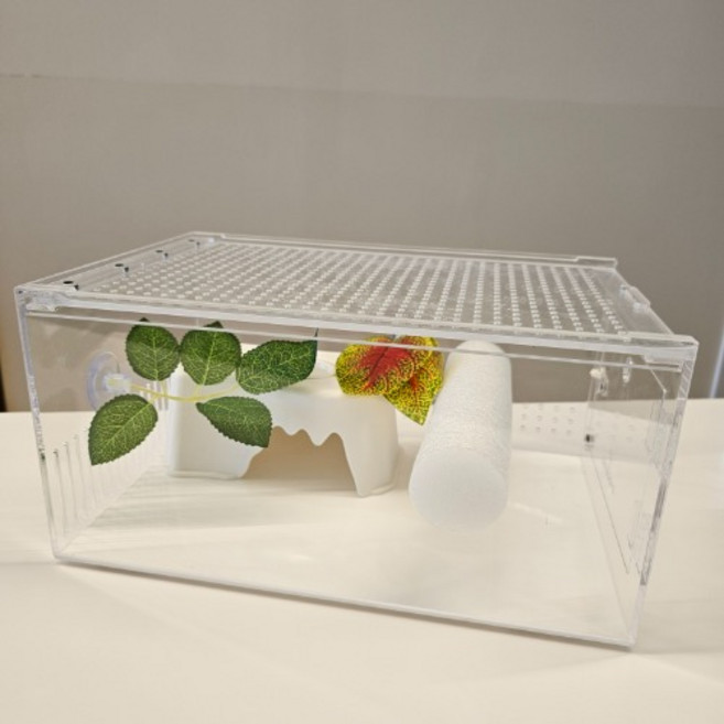 크레도니아 적재형아크릴사육장 대형세트(아크릴장+백업+물그릇은신처+인조나뭇잎2), 1개, 적재형아크릴사육장대형세트