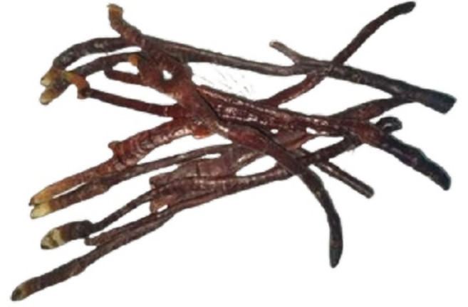 亞源泉 精選鹿角靈芝 新鮮採摘 營養豐富 口感鮮嫩, 1個, 500g/包