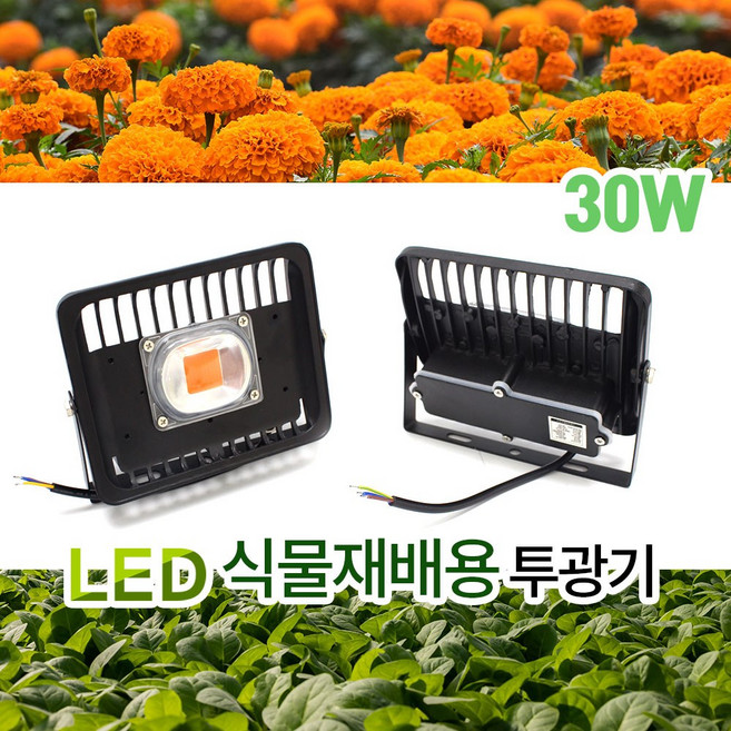 LED 식물재배용 식물생장용 과일 꽃 성장 투광기 30W
