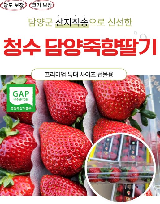 담양 청수 블랙라벨 설향딸기 죽향딸기 프리미엄 특품, 1박스, 2kg, 담양 딸기(죽향) 왕특