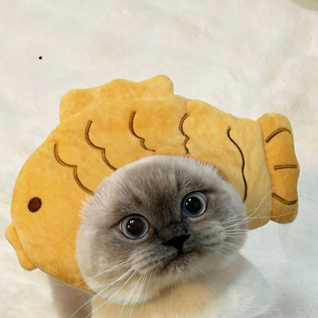 안벗겨지는 강아지 고양이 귀여운 모자 애견모자 토끼 모자, 1개, 뿡어빵