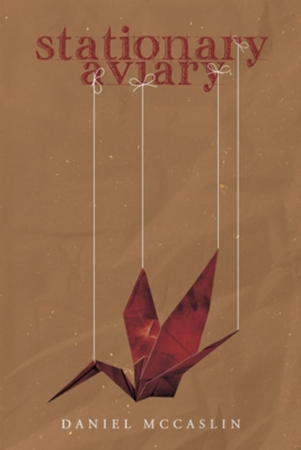 (영문도서) Stationary Aviary Paperback, Daniel McCaslin, English, 9798869333292