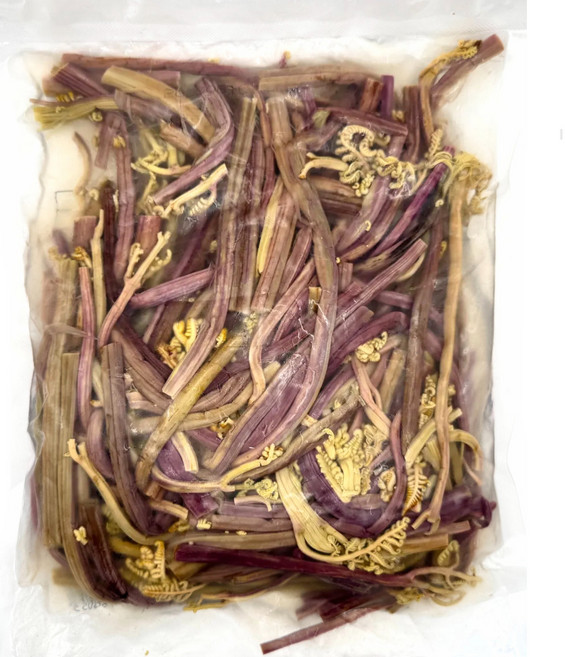 삶은 고사리 데친 고사리 2kg (수입산) 중국산 데침 고사리, 1kg, 3개