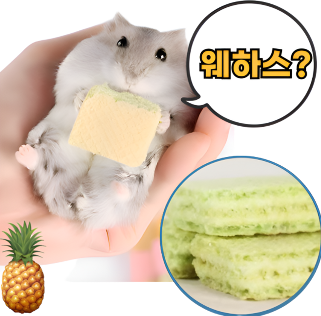 햄스터 파인애플 웨하스 햄스터웨하스간식 햄스터이갈이 햄스터간식, 6개, 그린 (파인애플맛)
