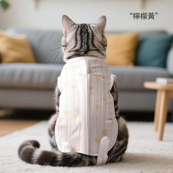 ibooooo 寵物貓咪絕育服, 檸檬黃, 1個
