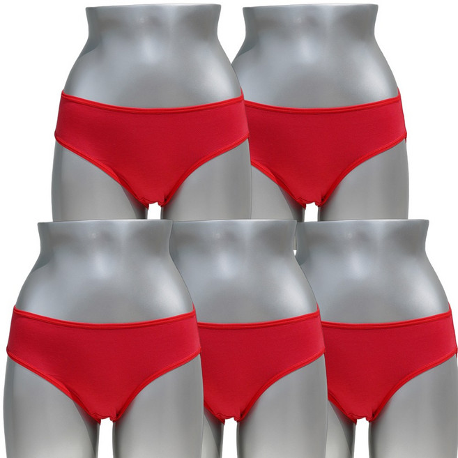 캐리루시 빅사이즈 여성 면스판 팬티 5매 세트 L~3XL