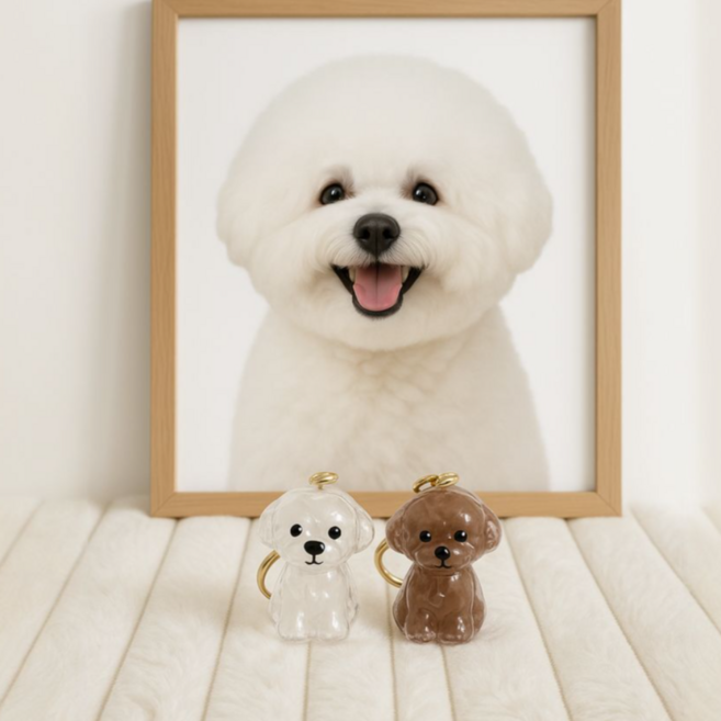 앤스토리 강아지 털 보관 캡슐 키링 2개, 투명