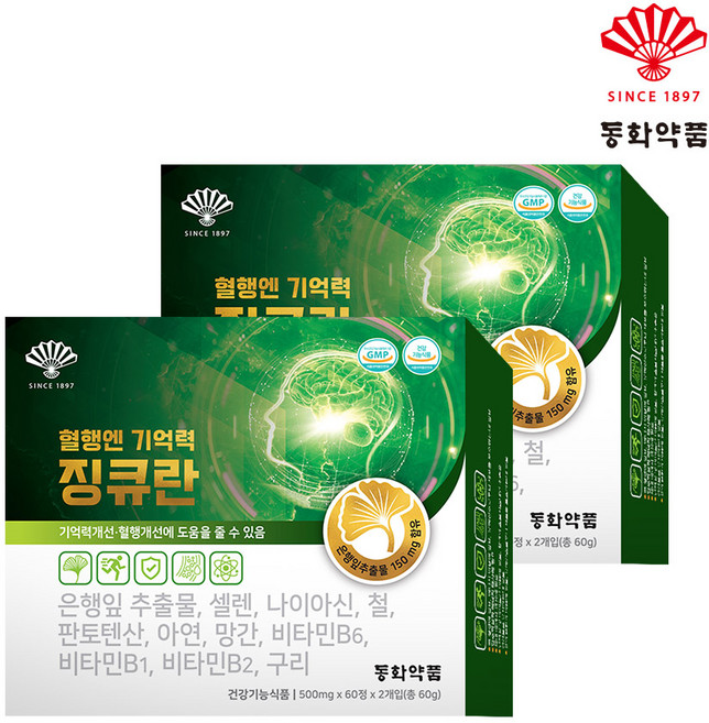 동화약품 혈행엔 기억력 징큐란 은행잎추출물 징코 11종기능성, 120정, 2개