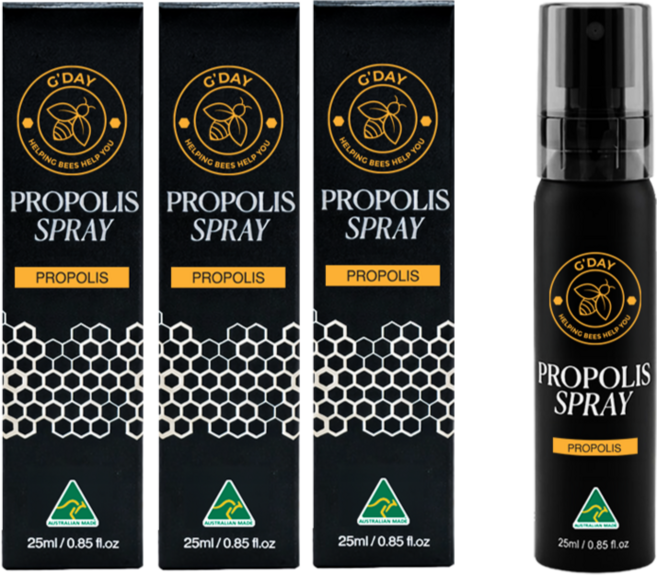 굿데이허니 프로폴리스 스프레이 신제품 정식 수입 통관, 3개, 25ml