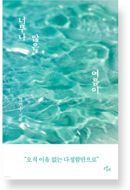 (김연수 레제 ) 너무나 많은 여름이, 분철안함