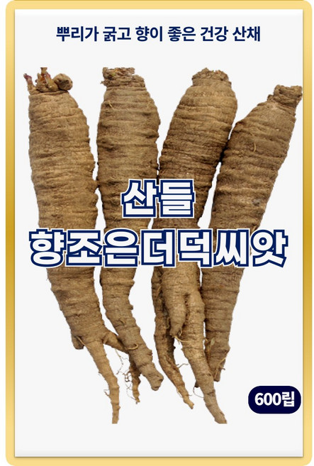 산들 향조은 더덕 씨앗 600립 뿌리 굵고 건강에 좋은 한방 약재 더덕씨 종자, 1개