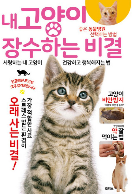 내 고양이 장수하는 비결:사랑하는 내 고양이 건강하고 행복해지는 법, 모리스, 노야 마사히코 저