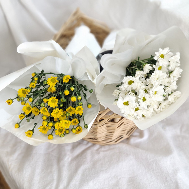 (농장직송) 소국 국화 생화 꽃다발 대국 추석성묘 추모꽃 데일리꽃, 소국꽃다발-옐로우, 1세트, 소국꽃다발-옐로우