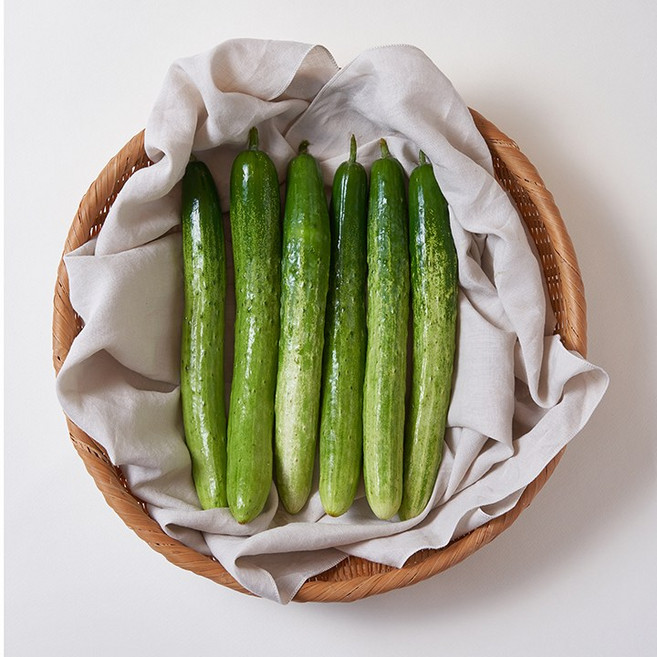 늘바른 국산 친환경 무농약 백오이3입 3봉, 단품, 단품