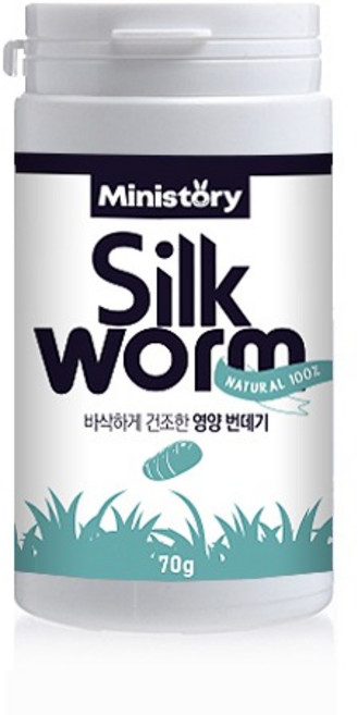 [미니스토리] 건조 번데기 70g, 1개