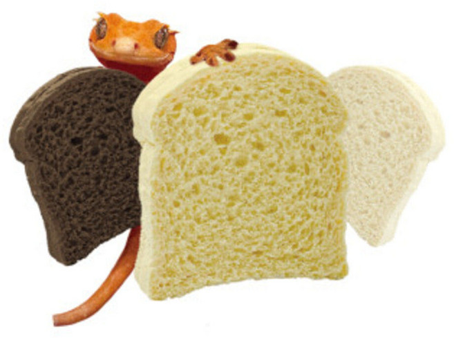 도마뱀 은신처 식빵 탈피보드, 1개, 화이트