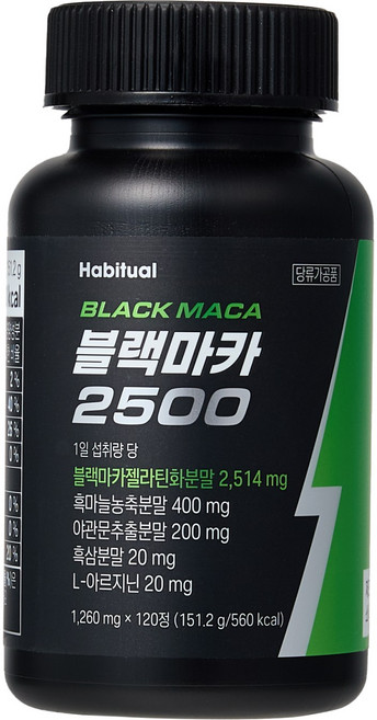 와이즐리 활력충전 페루산 블랙마카 2500, 1개, 120정