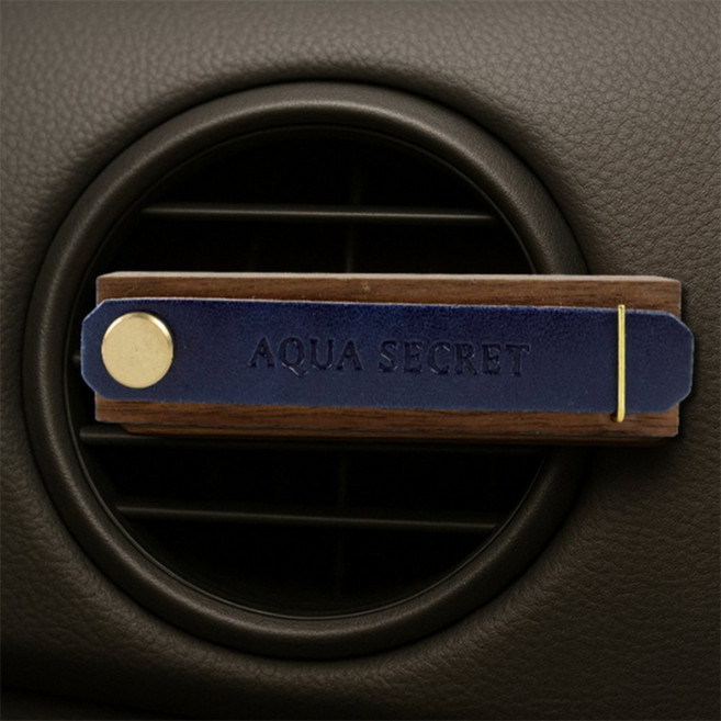 하이하이 자동차 스틱 방향제 차량악세사리, 레몬유칼립투스