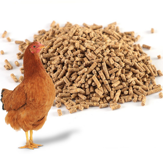 사료영양학교실 육계후기10kg 중병아리사료 병아리모이 청계.오골계.토종닭사료, 10kg, 1개