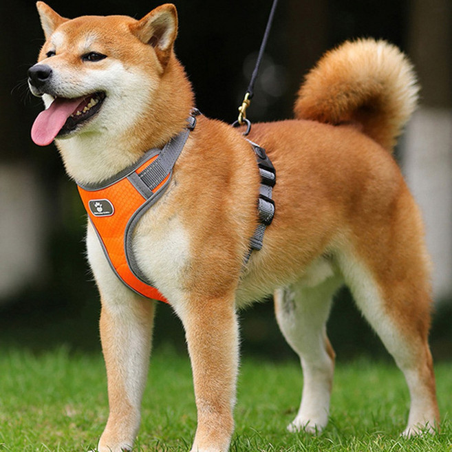 해피펫밀리 중대형견 허니콤 하네스, 오렌지, 1개