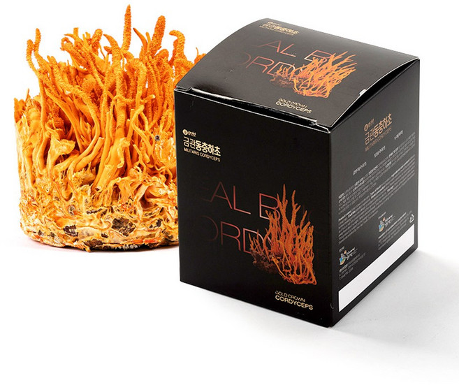 금관 누에 번데기 동충하초, 45g, 1개