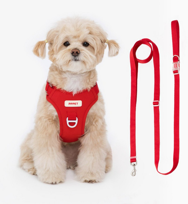 펫펫펫 강아지 하네스 + 리드줄 세트, 레드, 1개