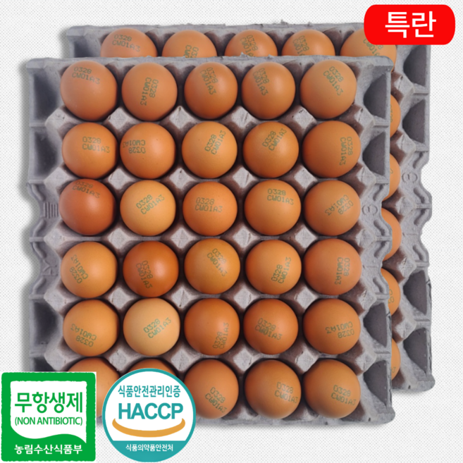 [제이피농장] 난각번호 3번 무항생제 계란 신선한 특란 HACCP, 1개, 60구