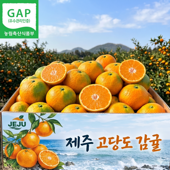[마지막특가] GAP 고당도 제주 감귤, 1박스, 10kg