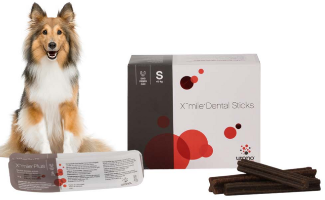 우라노 엑스마일 덴탈스틱 S M L 1p 먹는 수의과용 치약껌, 엑스마일 S 1p (10g), 10g, 1개