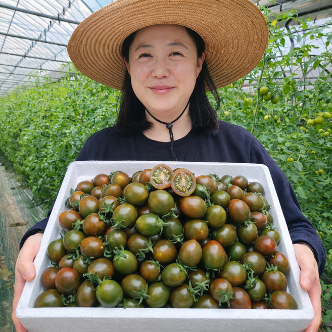 [상위1%] 산지직송 2026년 첫 수확 부산 대저 흑대추 방울 토마토, 1개, 흑대추토마토5kg