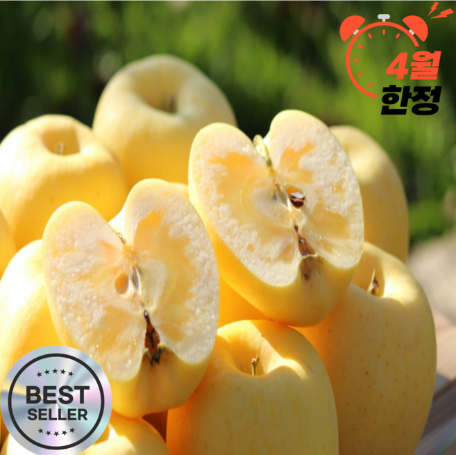 [한정특가] 가정용 고당도 황금사과 시나노골드, 1박스, 3kg