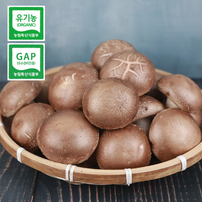 유기농 생표고버섯 비젼팜 산지직송 1kg, 중품, 1개